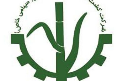 شرکت کشت و صنعت نیشکر دعبل خزایی